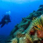 Corse plongée sous-marine : les meilleurs spots et conseils pour explorer les fonds marins