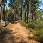 Début du sentier des crêtes du bois des Anglais : itinéraire et conseils de randonnée