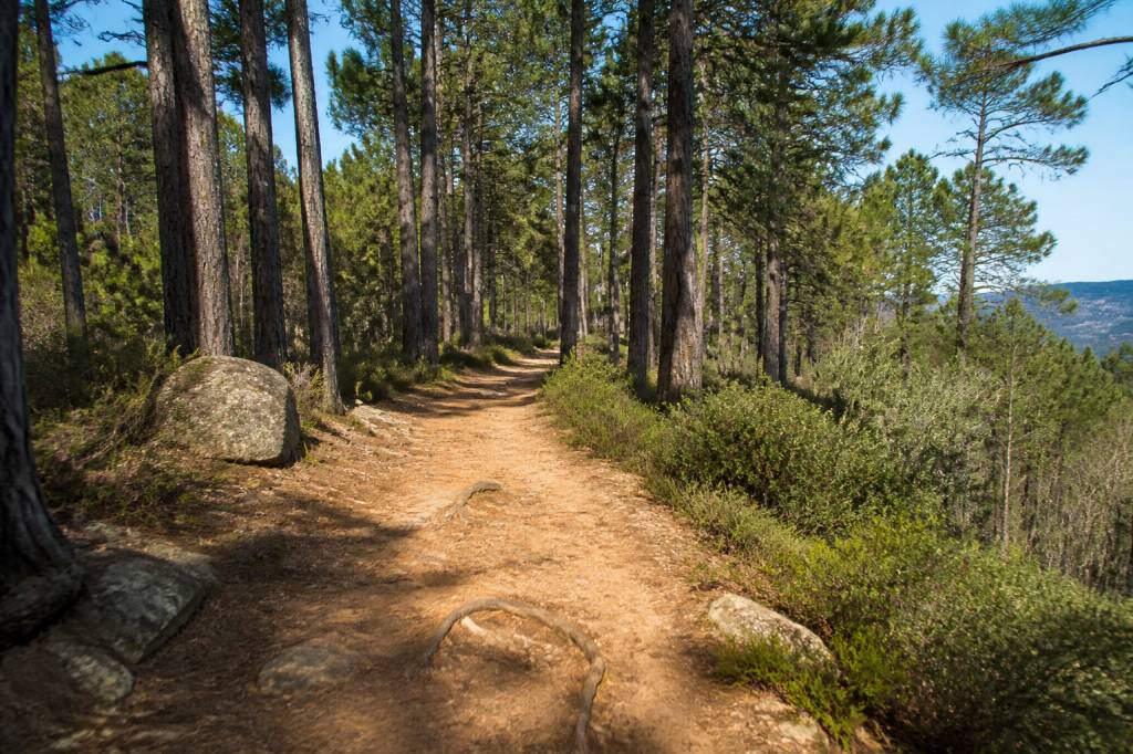 Début du sentier des crêtes du bois des Anglais : itinéraire et conseils de randonnée