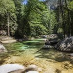 Forêt de Bonifatu : randonnée facile au cœur de la Corse
