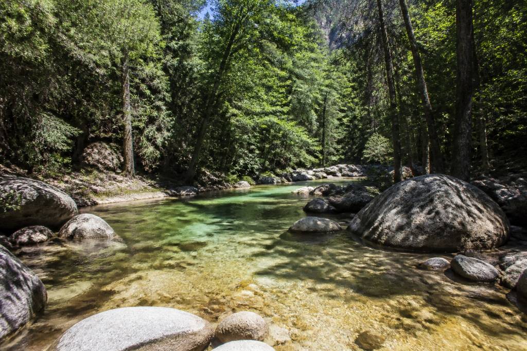 Forêt de Bonifatu : randonnée facile au cœur de la Corse