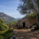 Bergerie de Tolla : découverte d’un lieu authentique au cœur de la Corse