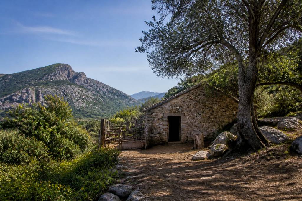 Bergerie de Tolla : découverte d’un lieu authentique au cœur de la Corse