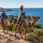 Balade en chameau en Corse : une expérience dépaysante entre mer et maquis