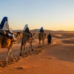 Chameau maroc : conseils pour découvrir les balades à dos de chameau au Maroc