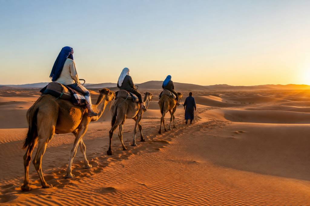 Chameau maroc : conseils pour découvrir les balades à dos de chameau au Maroc