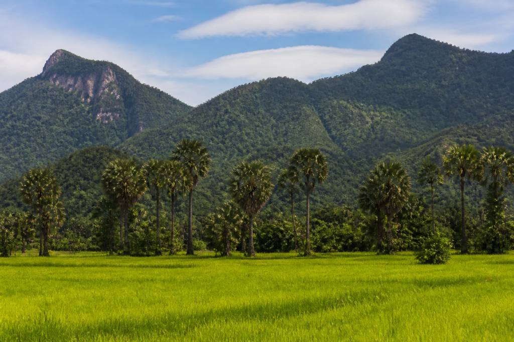 Cambodge paysage : les plus beaux décors naturels à découvrir au fil des saisons