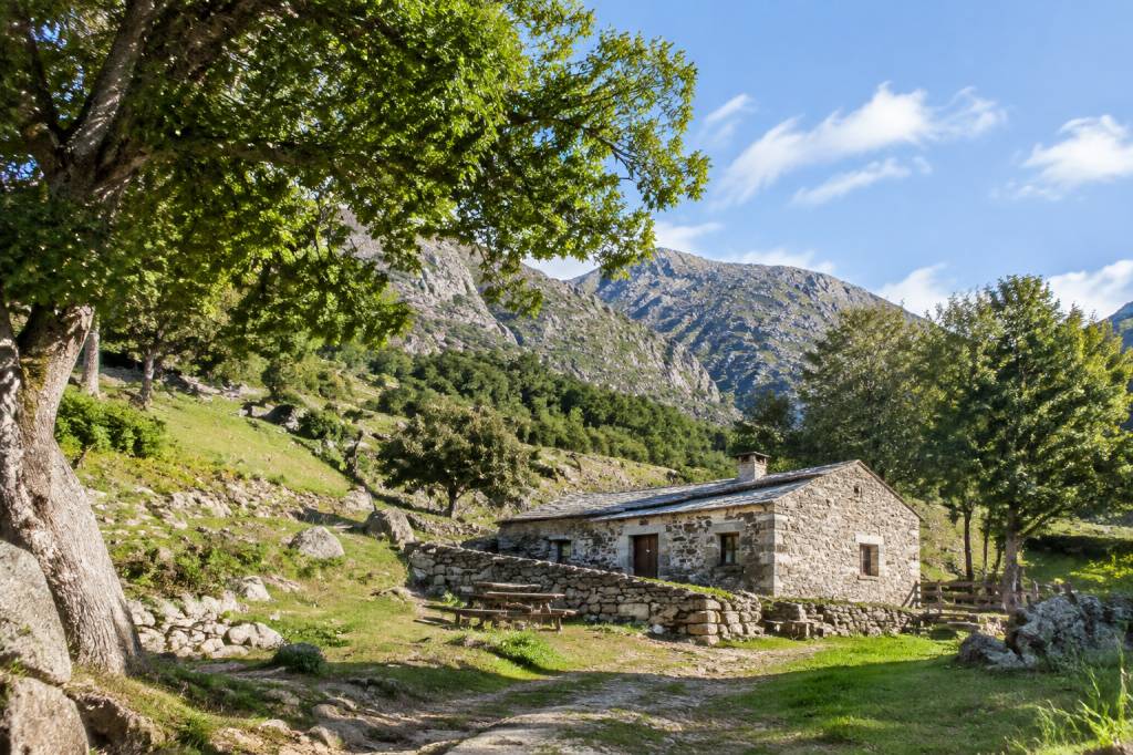 Les bergeries de Cappellaccia : une halte authentique en Corse
