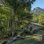 Maison forestière de Poppaghia : randonnée au cœur de la forêt corse