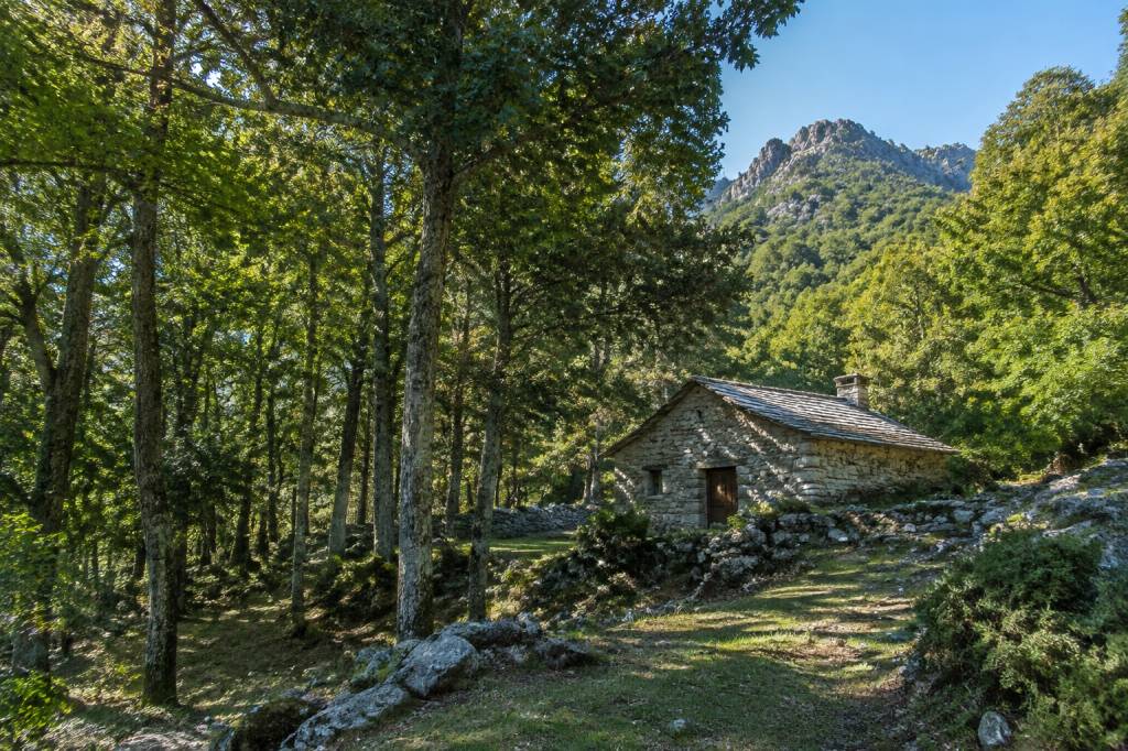 Maison forestière de Poppaghia : randonnée au cœur de la forêt corse